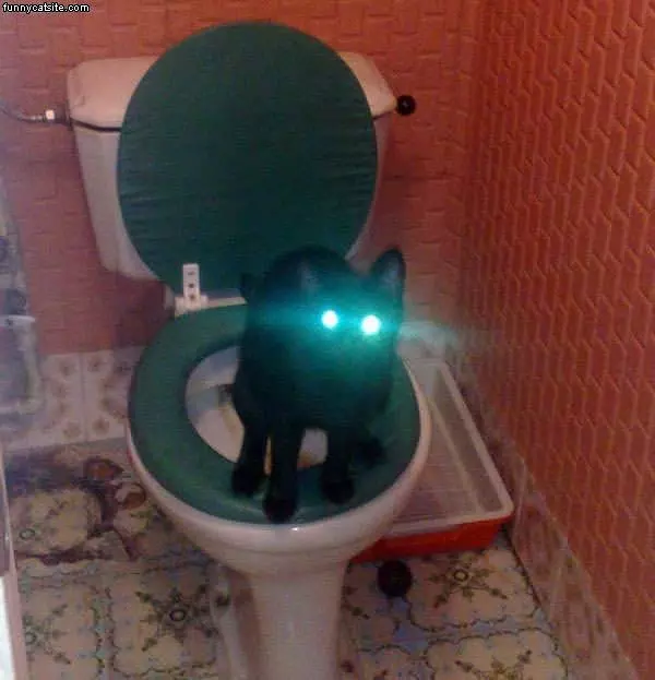 Laser-eyes