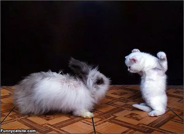 You Back Off Now Ok