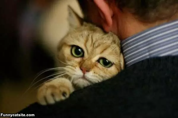 Looks So Sad
