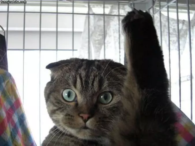 Dont Sneak Up On Me