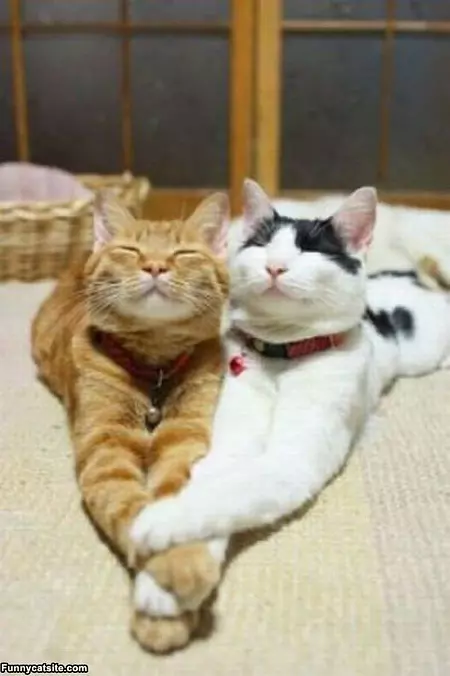 Stretchign Together