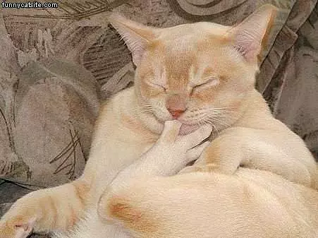 Sleeping With Foot In Mouth