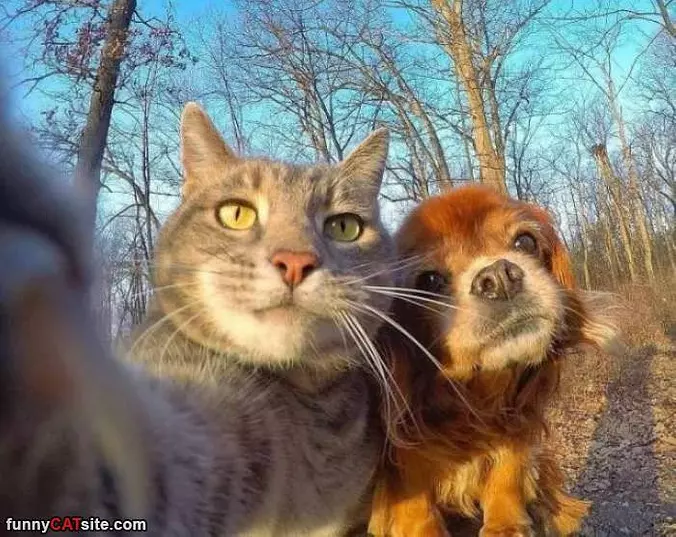 Getting A Cute Selfie
