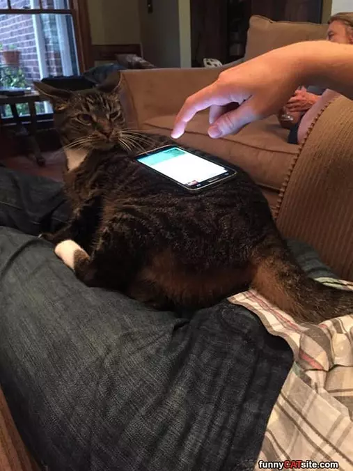 I Am Not A Phone Holder
