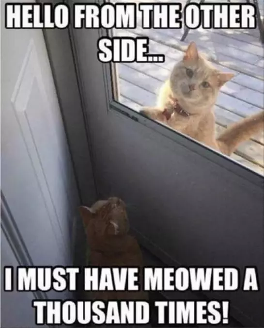 Hello From The Other Side
