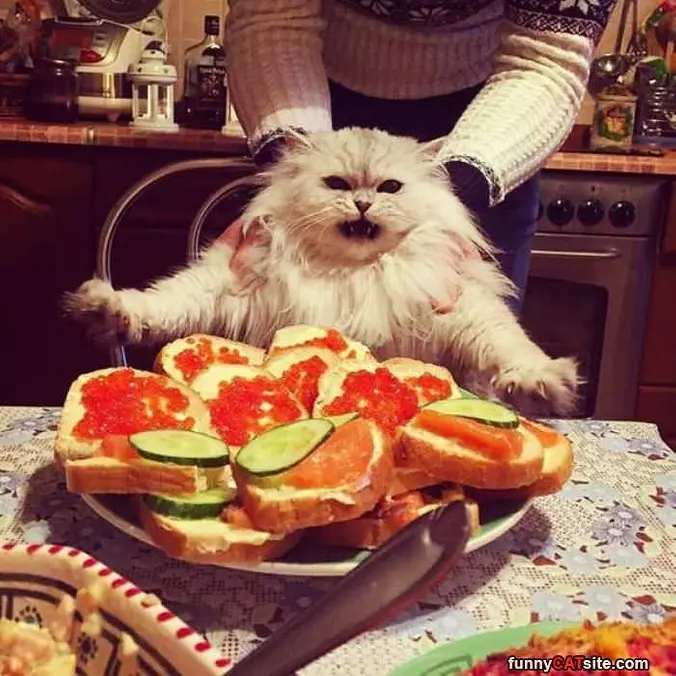 The Entire Plate