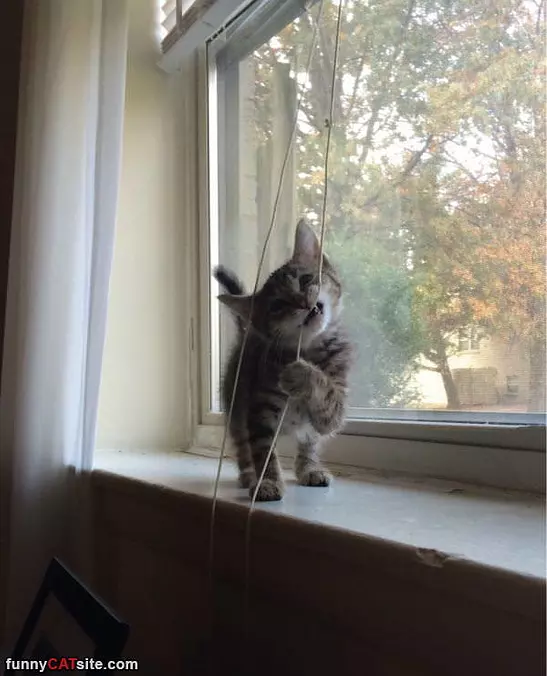 Closing The Blinds
