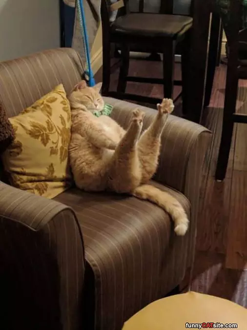 Back Paws Stretch