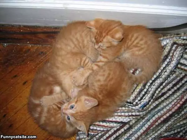 Pile Up