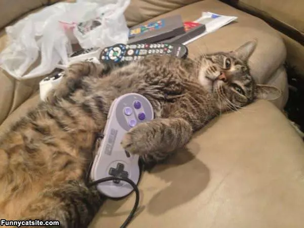Cmon Lets Play