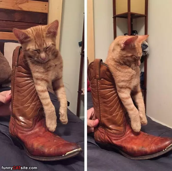 Stuck In My Boot