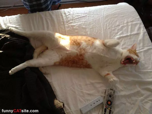 Best Way To Sleep