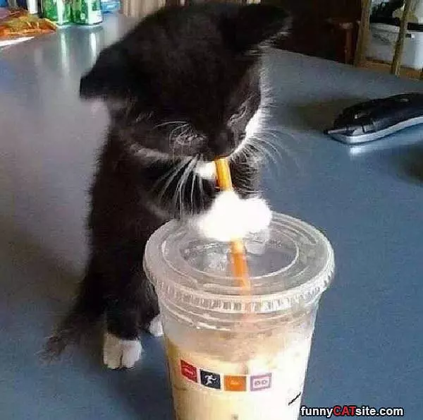 Taking Me A Sippy