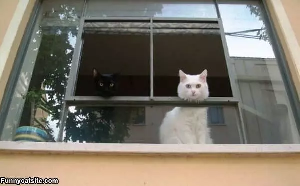 Whatcha Doin Out There