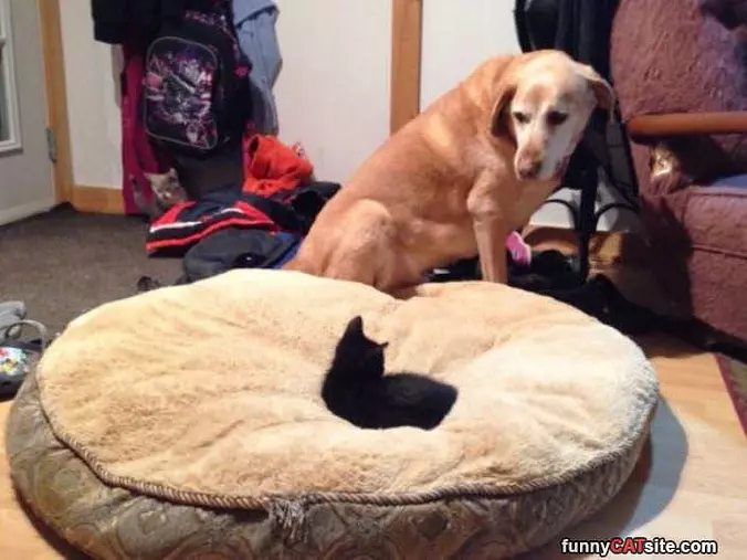 My Bed Now