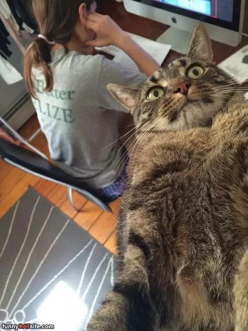 Taking A Selfie