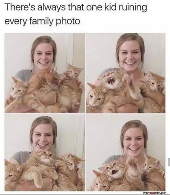 Every Family Photo