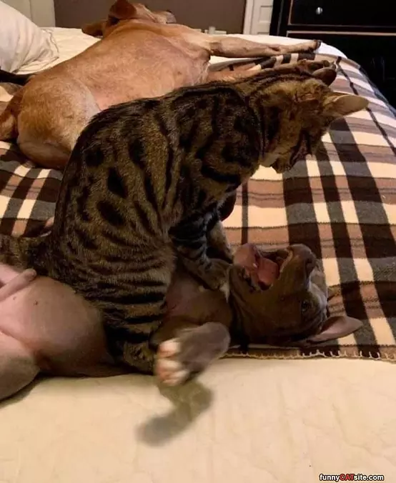 Get Off Me