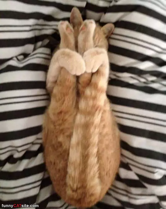 Some Serious Yoga