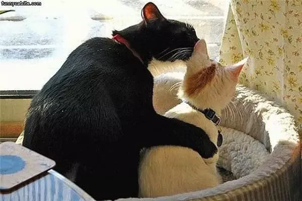 Whisper A Secret