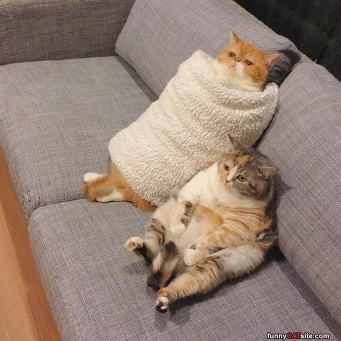 Watching Our Stories