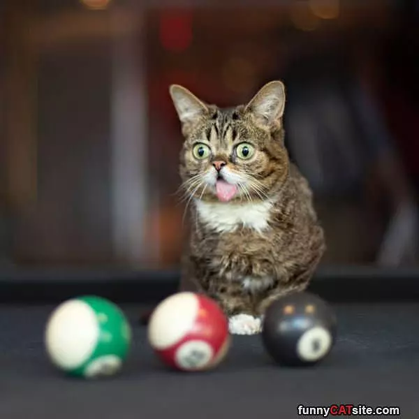 Im Not Good At Pool