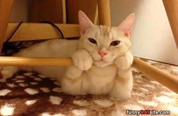 Hey Nice To See You