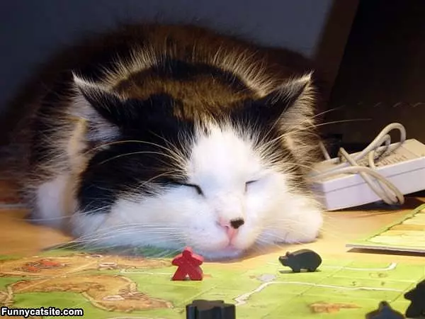 This Game Boring