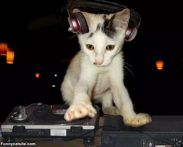 Dj Kittah