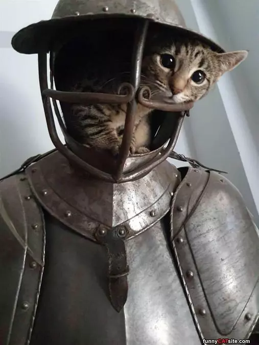 I Am A Knight