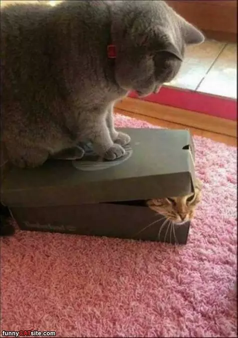 Stay In There Already
