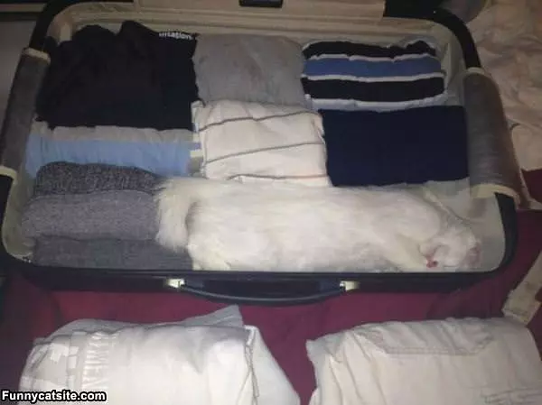 Take Me With You