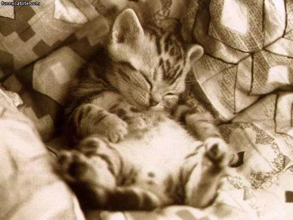 Very Sleepy