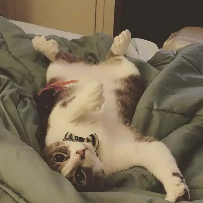 My Relaxing Pose