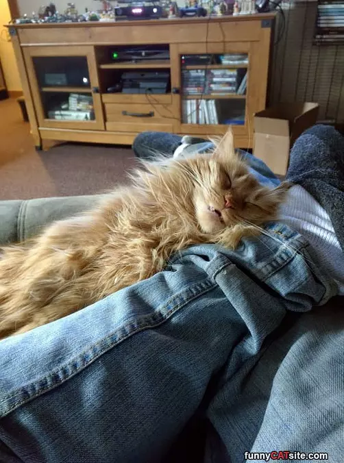 Snoooozing
