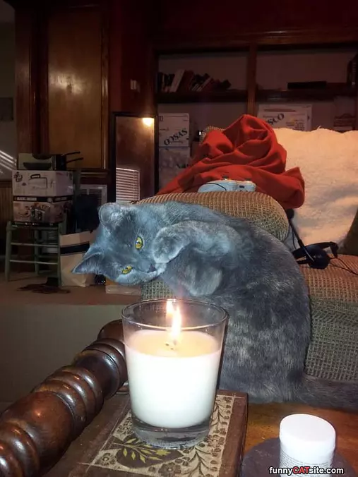 What Is This Thing