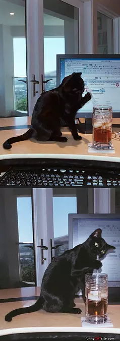 Armani Drinking A Little Coke