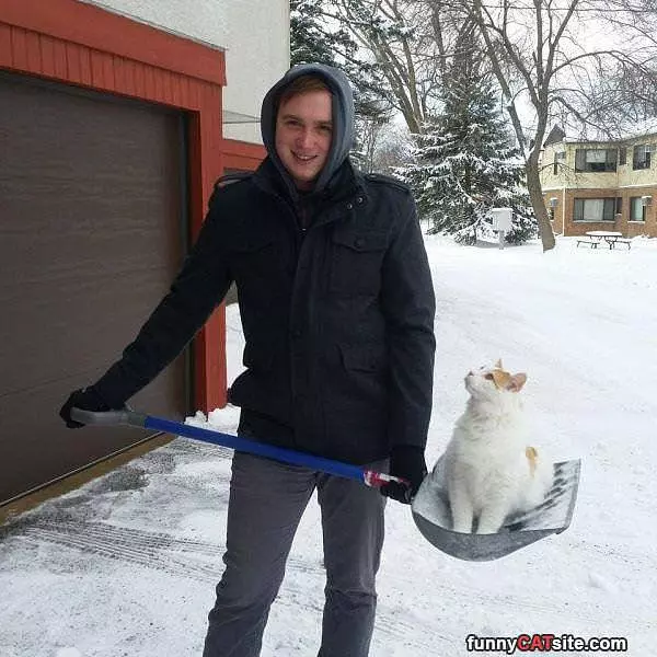 In The Shovel