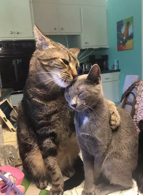 A Hug