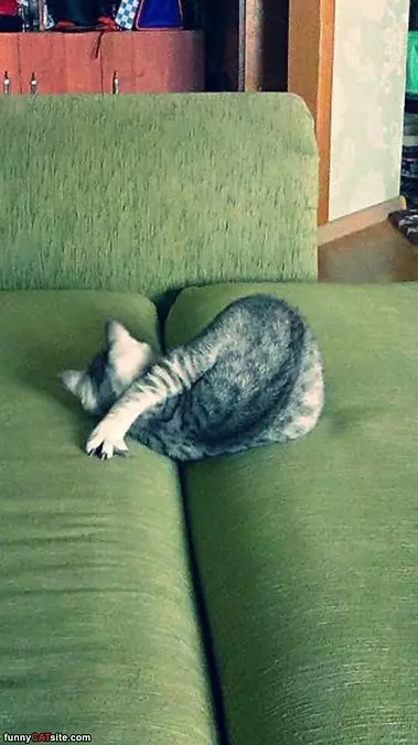 Doing My Yoga