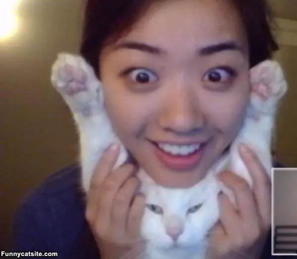 Happy Cat Full Of Happy