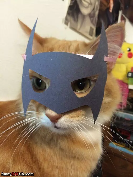 I Am The Night