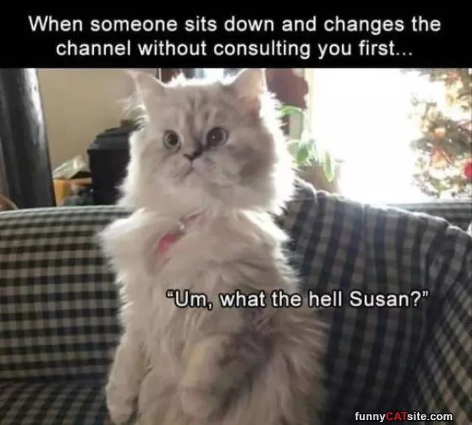 Changes The Channel