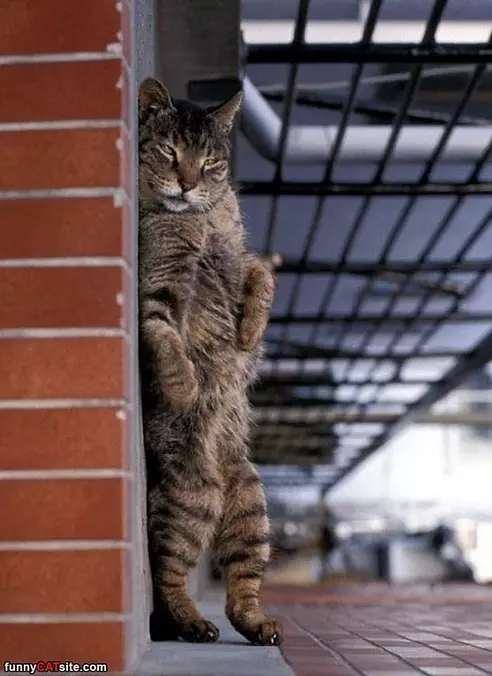 Hanging Out
