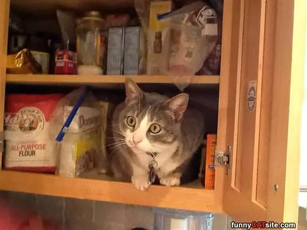 Helping With Dinner