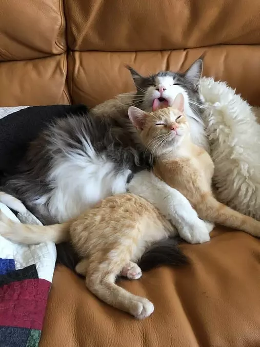 This Is A Way To Stay Warm