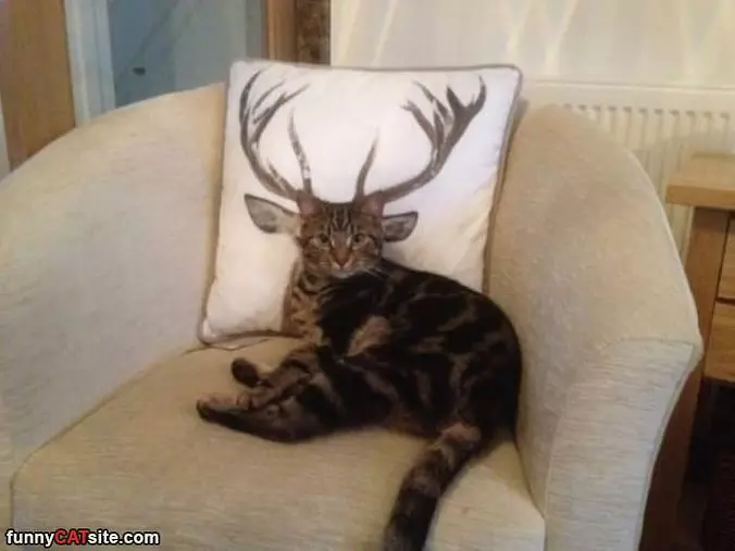 I Am A Huge Deer