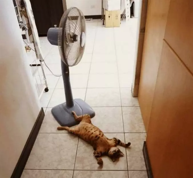 Need To Cool Down