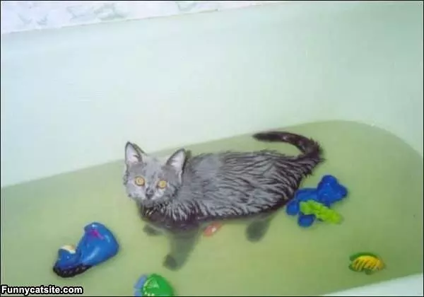 Tub Time
