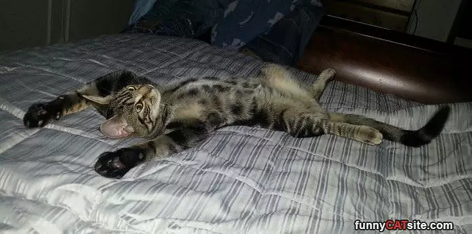Hands Up Big